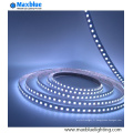 DC12V / 24V RGBW LED Strip Light